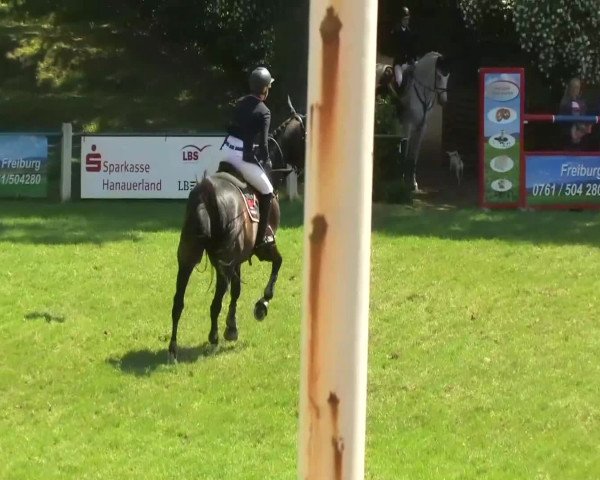 Sommerturnier Legelshurst 2014