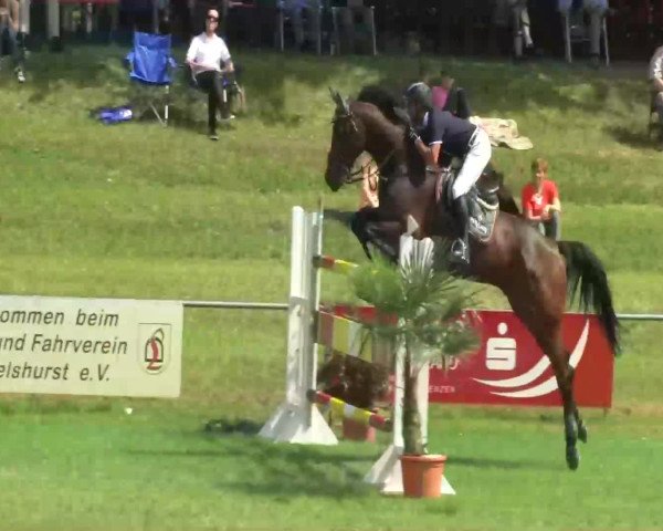 Sommerturnier Legelshurst 2014
