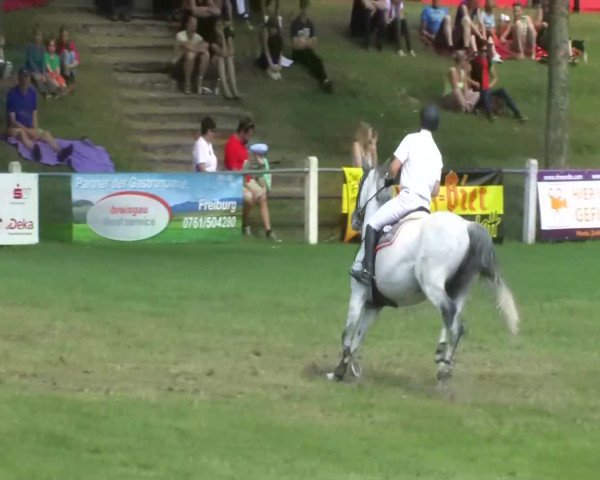 Sommerturnier Legelshurst 2014