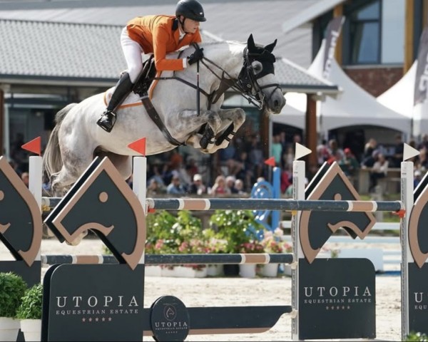 Springpferd Horse Gym's Classina (Deutsches Sportpferd, 2015, von Casalito)