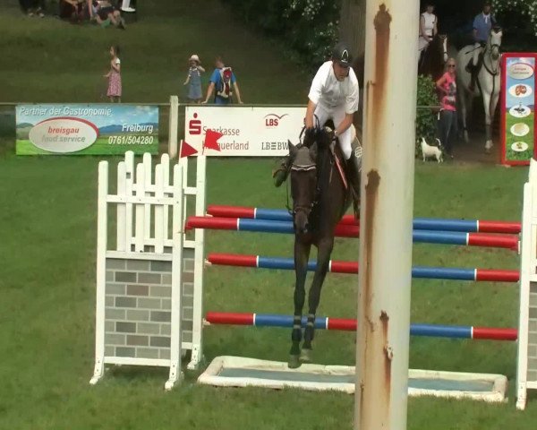 Sommerturnier Legelshurst 2014
