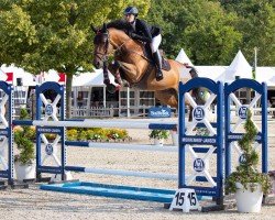 jumper Deejay Vive Z (Zangersheide riding horse, 2018, from Dominator 2000 Z)