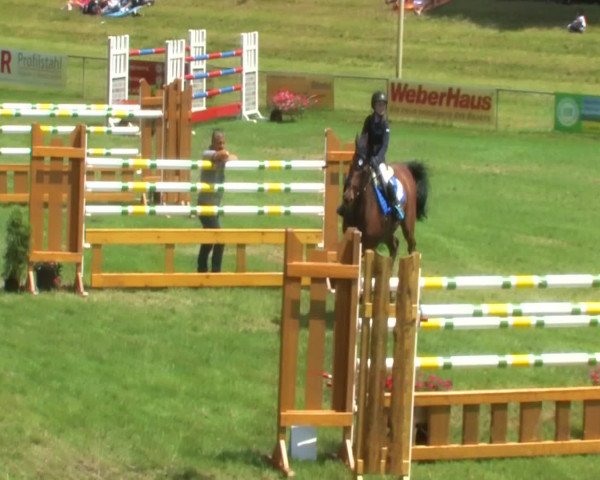 Sommerturnier Legelshurst 2014