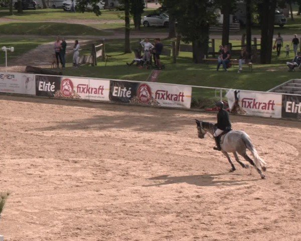 Reitturnier Stadl-Paura 2025
