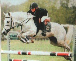 broodmare Virginia (German Riding Pony, 1998, from Kalypso)