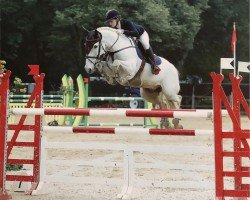 jumper Starfield Cuchullain (Irish Sport Horse, 1999)