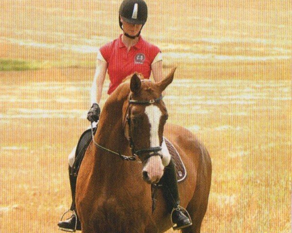 broodmare Naomi II (Trakehner, 1995, from Herzruf)