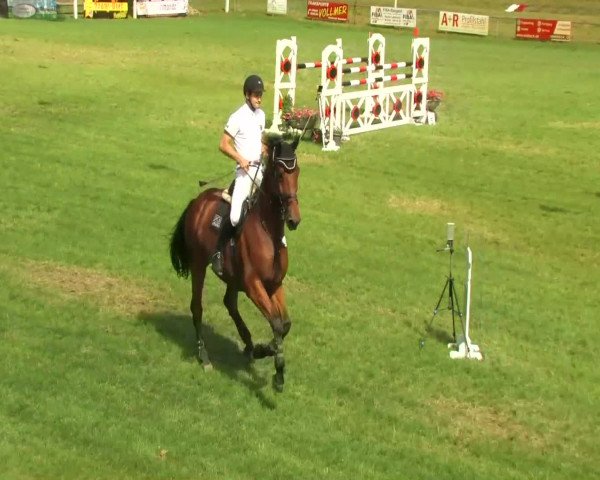 Sommerturnier Legelshurst 2014