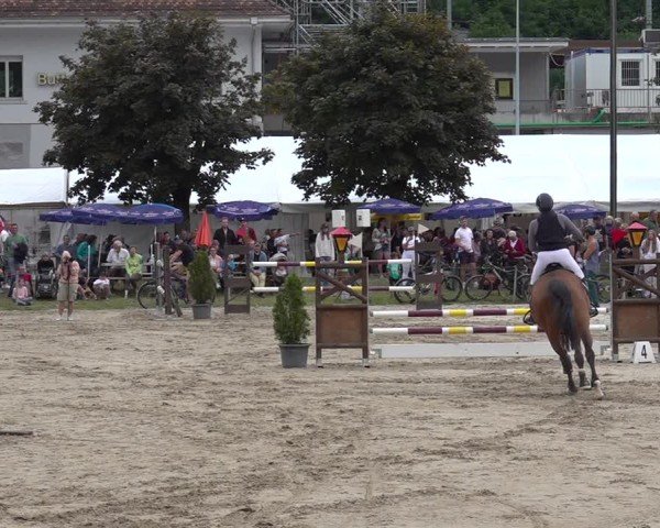 Reitturnier Kandersteg 2025