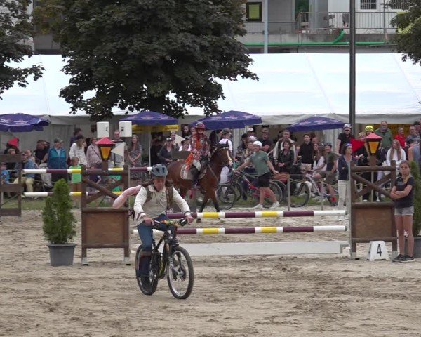 Reitturnier Kandersteg 2025