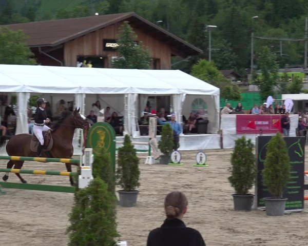 Reitturnier Kandersteg 2025