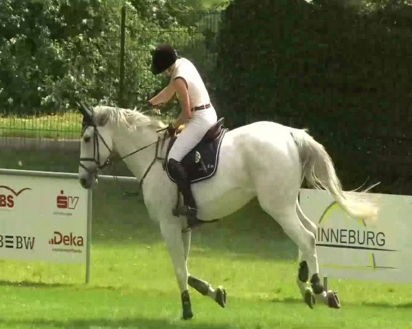 Sommerturnier Legelshurst 2014