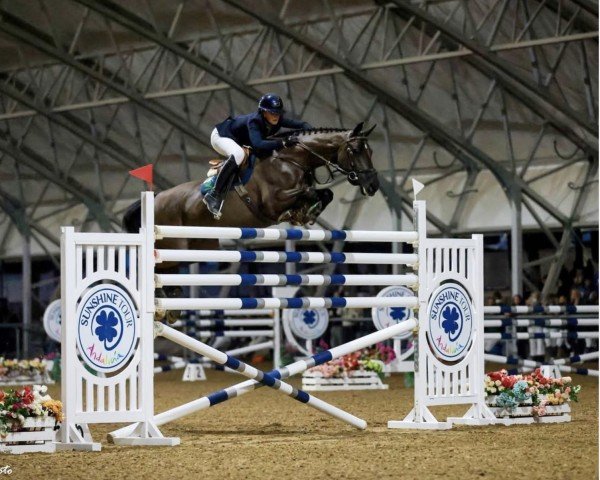 jumper Desterly (KWPN (Royal Dutch Sporthorse), 2008, from Tolan R)