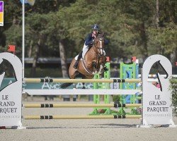 jumper Atomic du Bary (French Pony, 2010, from Frascator Mail)