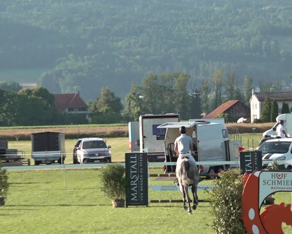Reitturnier Büren an der Aare 2025