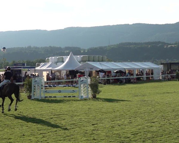 Reitturnier Büren an der Aare 2025