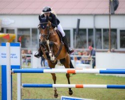 Springpferd Moonlight L (Westfale, 2009, von Marec 4)