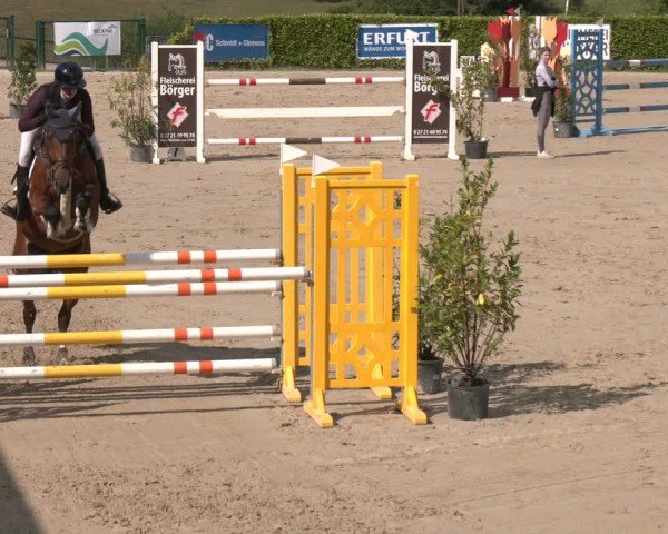 Reitturnier Lindlar-Süttenbach 2025