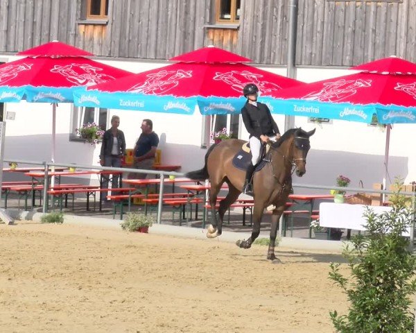 Reitturnier Rankweil 2025