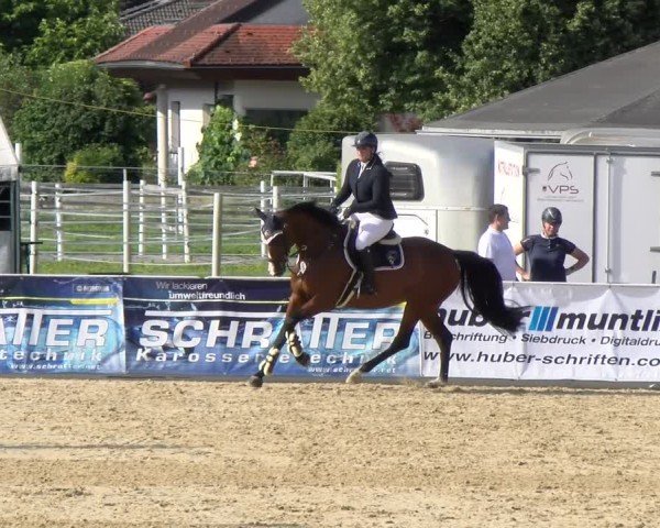 Reitturnier Rankweil 2025