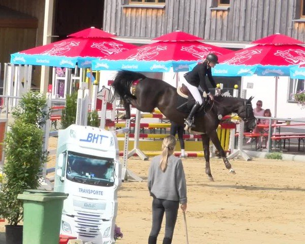Reitturnier Rankweil 2025