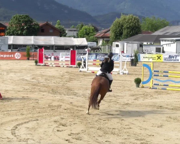 Reitturnier Rankweil 2025