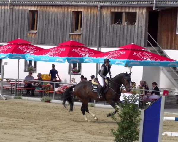 Reitturnier Rankweil 2025