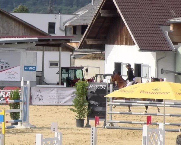 Reitturnier Rankweil 2025