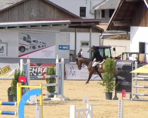 Reitturnier Rankweil 2025