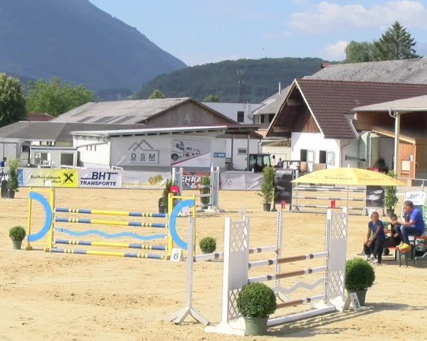 Reitturnier Rankweil 2025