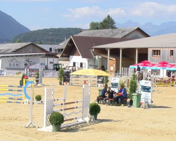 Reitturnier Rankweil 2025