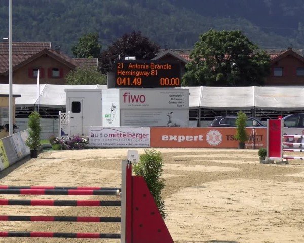 Reitturnier Rankweil 2025