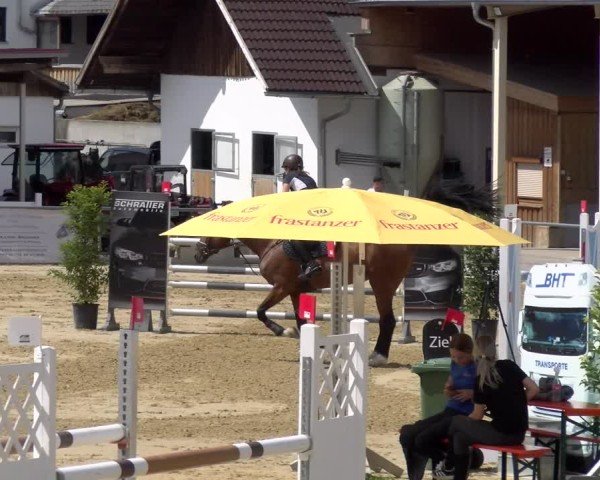 Reitturnier Rankweil 2025