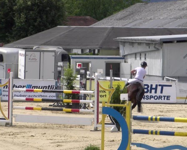 Reitturnier Rankweil 2025