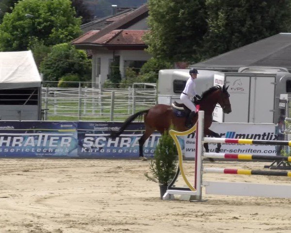Reitturnier Rankweil 2025