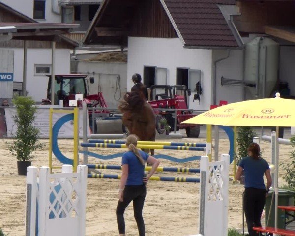 Reitturnier Rankweil 2025
