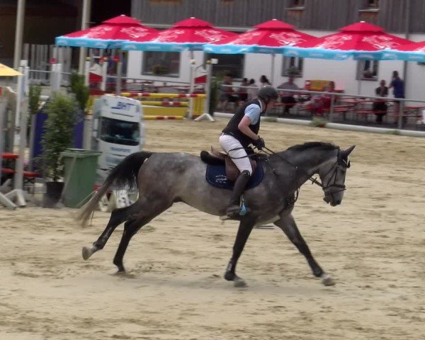 Reitturnier Rankweil 2025