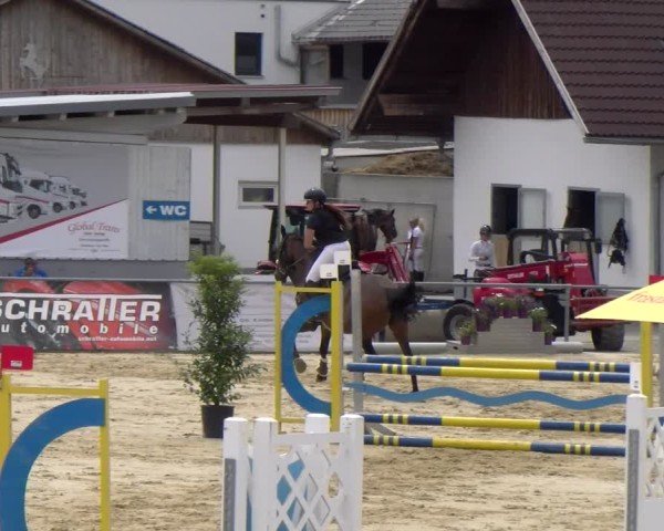 Reitturnier Rankweil 2025