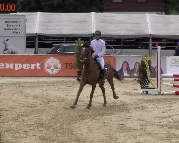 Reitturnier Rankweil 2025