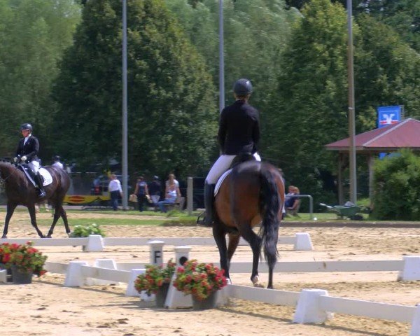 Reitturnier Münster-Roxel 2025
