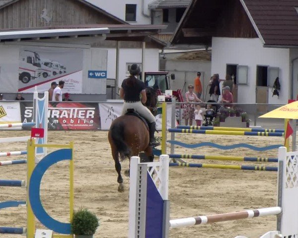 Reitturnier Rankweil 2025
