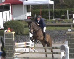 jumper Kano 4 (German Sport Horse, 2018, from Kasimir 184)