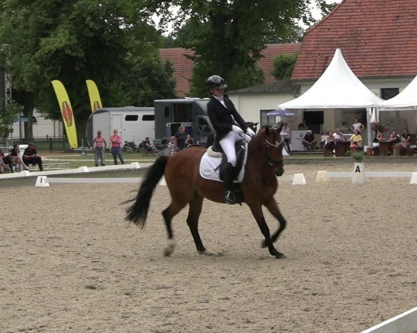 Reitturnier Redefin 2025