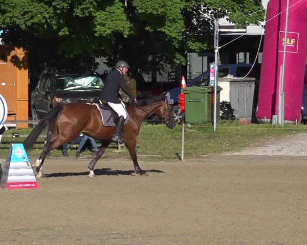 Reitturnier Kandersteg 2025