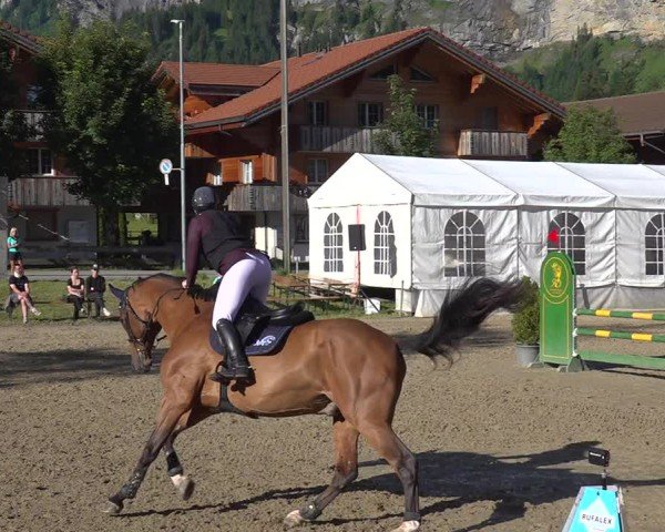 Reitturnier Kandersteg 2025