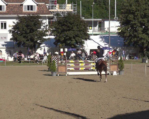 Reitturnier Kandersteg 2025