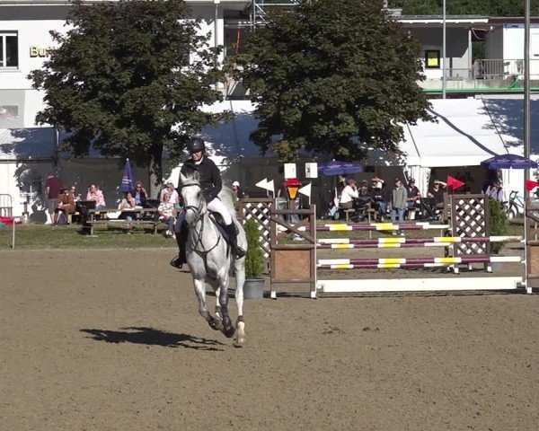 Reitturnier Kandersteg 2025
