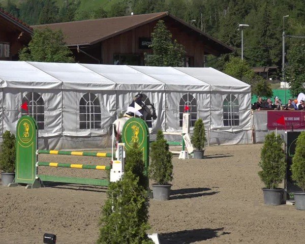 Reitturnier Kandersteg 2025