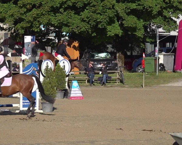 Reitturnier Kandersteg 2025