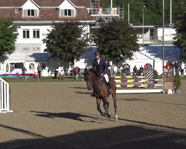 Reitturnier Kandersteg 2025